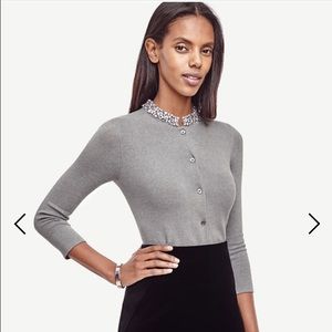 ANN TAYLOR cardigan