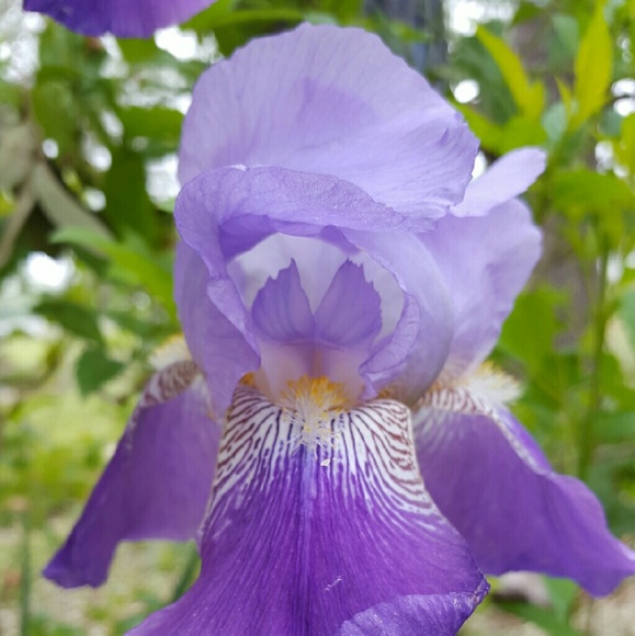 Meet your Posher, Rebecca - Picture 2 of 2