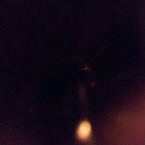 Meet your Posher, Patsy