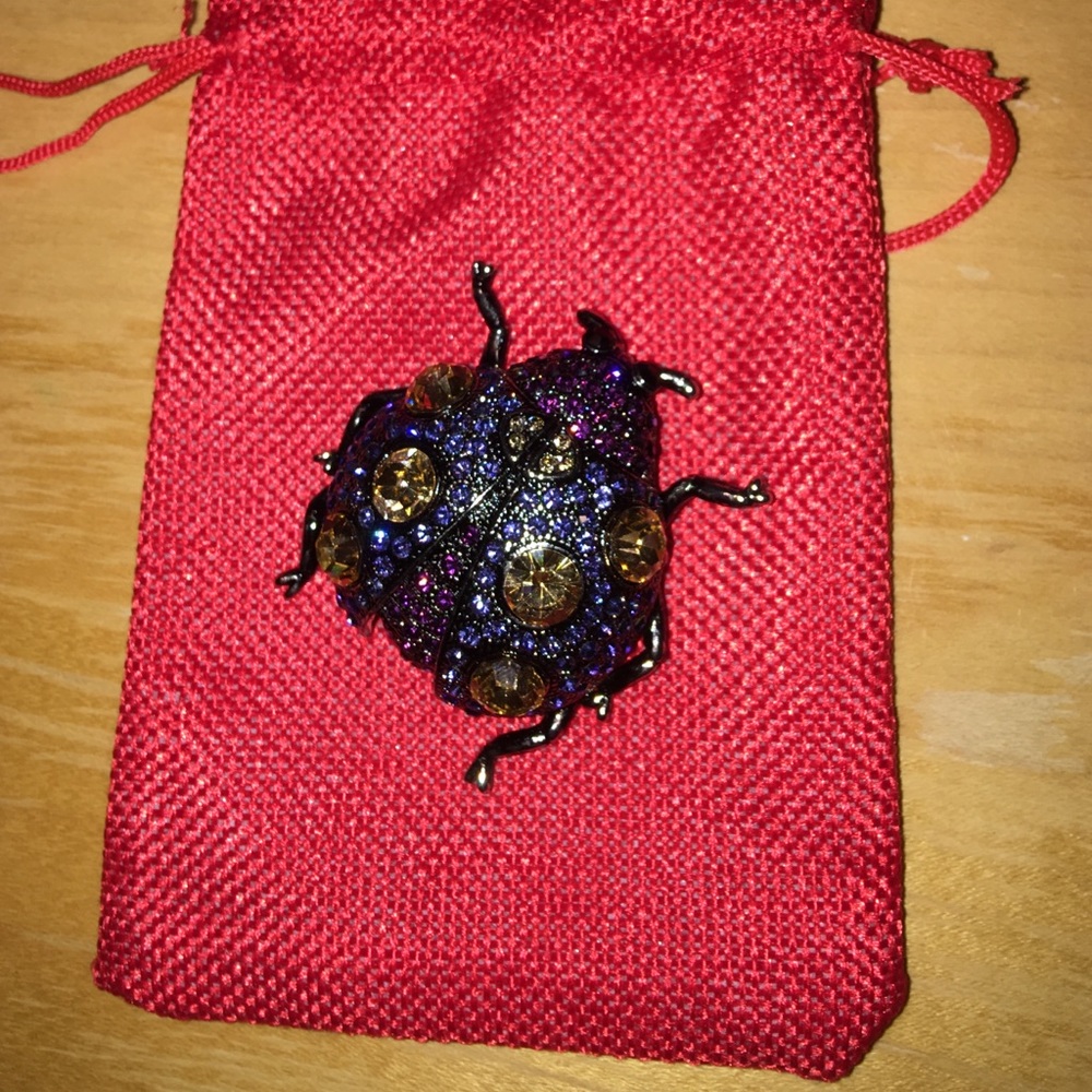 Ladybug brooch