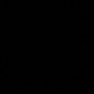 Meet your Posher, Armando