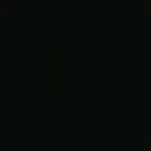 Meet your Posher, Sandi