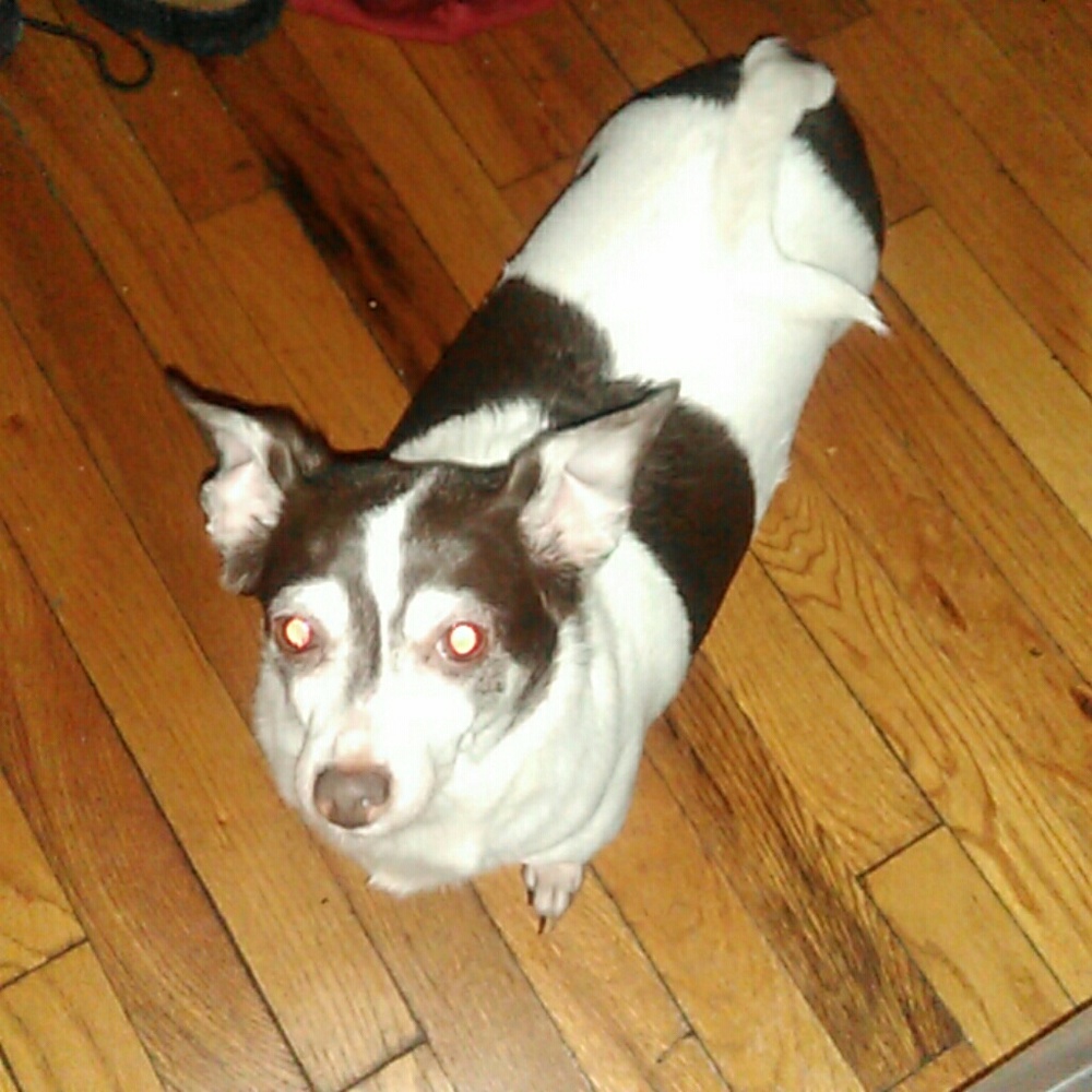 Meet your Posher, Alondra