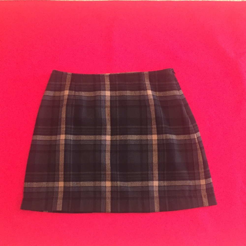 Pleated Skirt