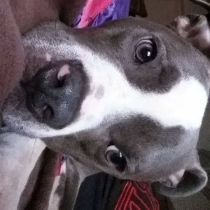 Meet your Posher, Kristina