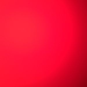 Meet your Posher, Riley