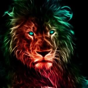 Meet your Posher, Terri