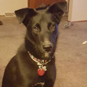 Meet your Posher, Jaclyn