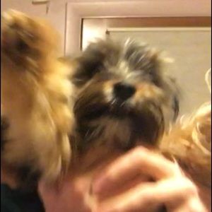 Meet your Posher, Katelyn