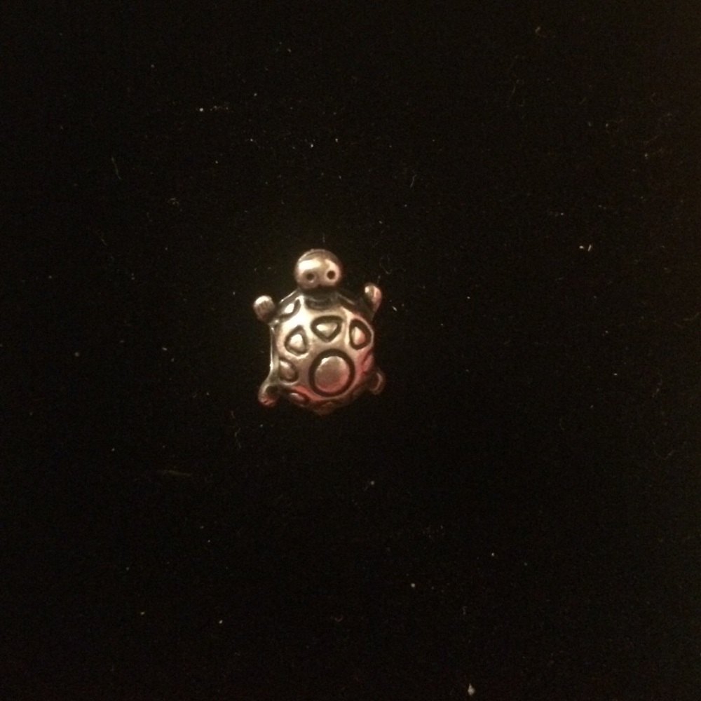 Discontinued Pandora "Turtle" charm
