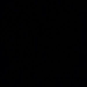 Meet your Posher, Why6