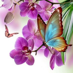 Meet your Posher, Olga