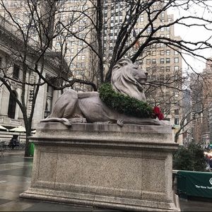 Meet your Posher, Lodelia