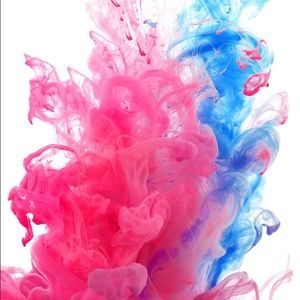 Meet your Posher, Shelby