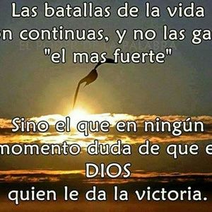 Meet your Posher, Elisa