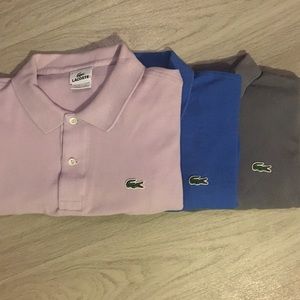Bundle of Men's Lacoste Polos