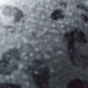 Meet your Posher, Martha