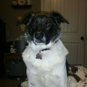 Meet your Posher, Vanessa