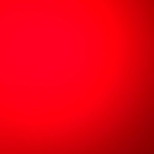 Meet your Posher, Gavin