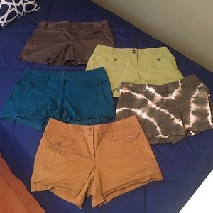 New York and Company shorts