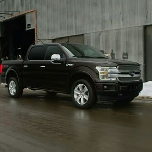 Meet your Posher, Shane