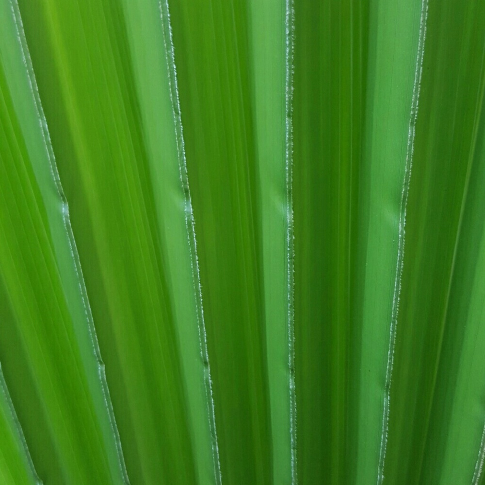 Meet your Posher, Robin