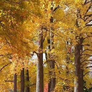 Meet your Posher, Maria c