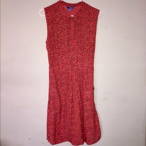 Lil from Anthropologie floral pocket dress