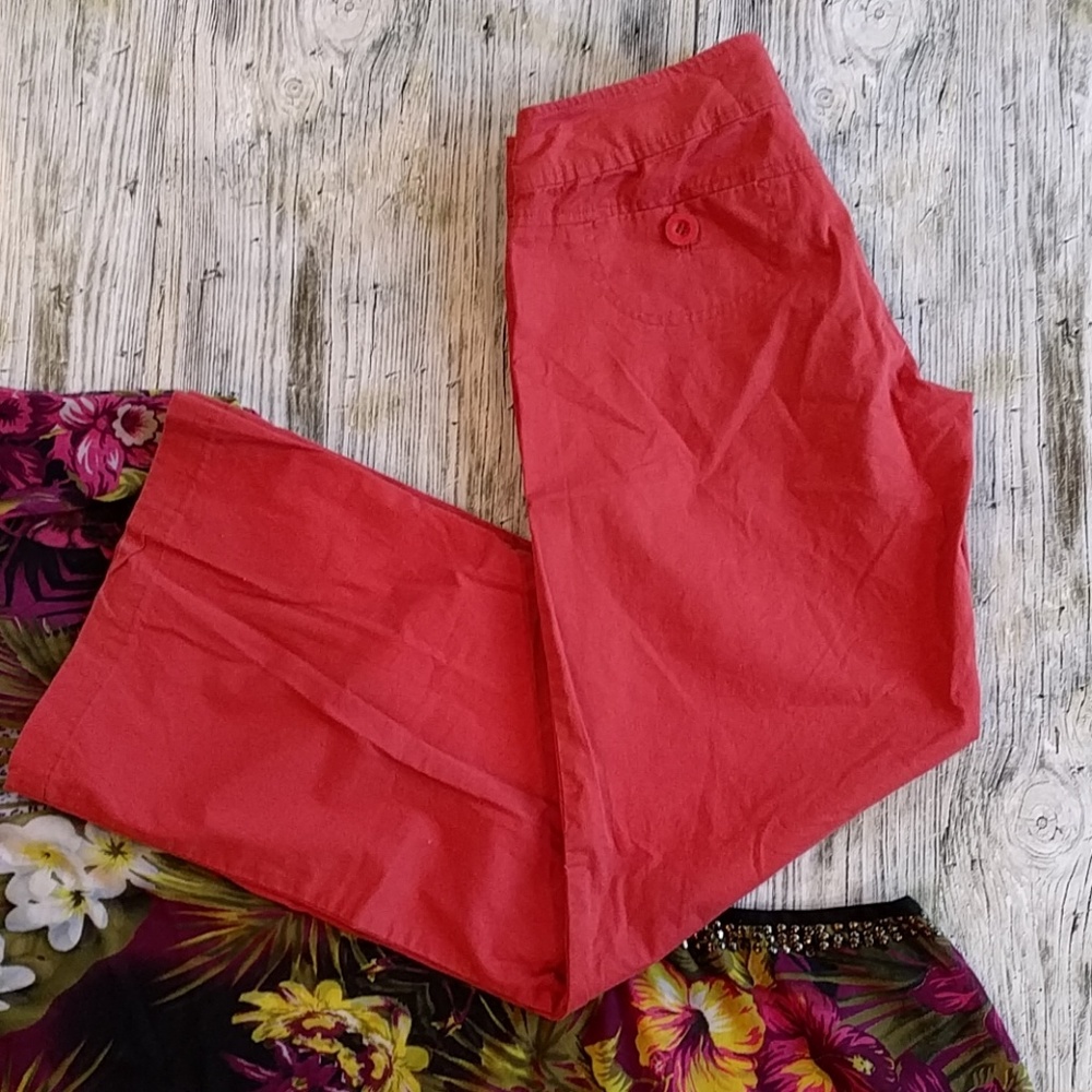 Anthropologie flat panel trousers