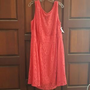 Women's Coral Springs Dress