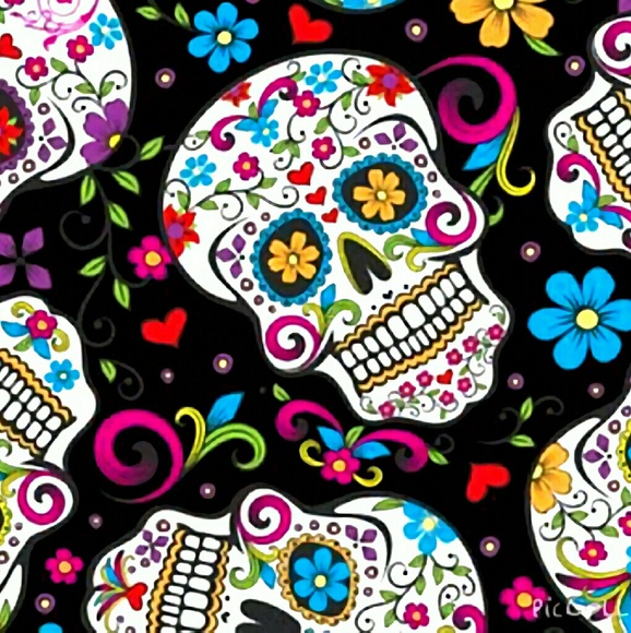 Meet your Posher, Saphira - Picture 1 of 1