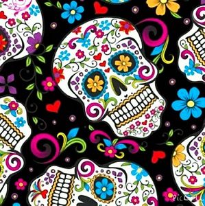 Meet your Posher, Saphira