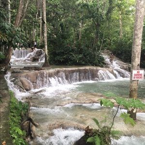 Meet your Posher, Liz