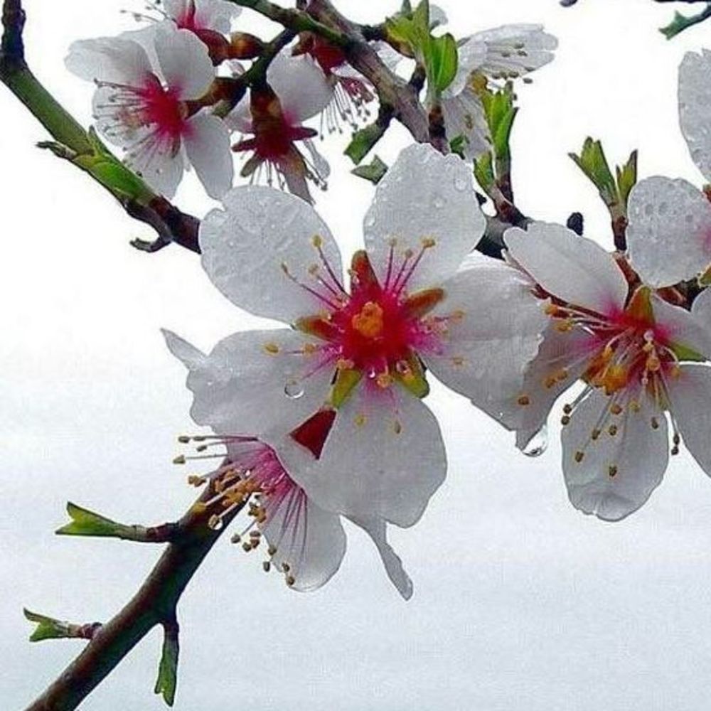 Meet your Posher, Ell