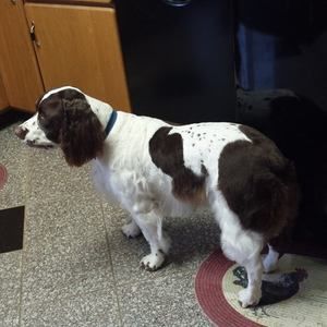 Meet your Posher, Barbara