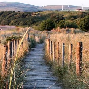 Meet your Posher, Linda