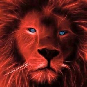 Meet your Posher, Sandy