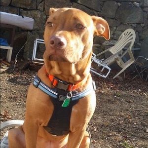 Meet your Posher, Stephen