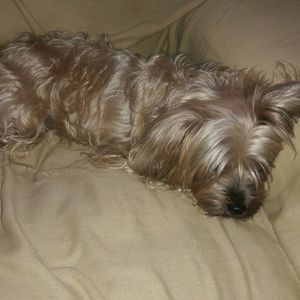 Meet your Posher, Debra