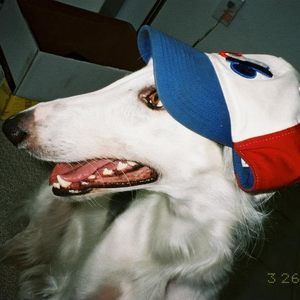 Meet your Posher, Chien-yu