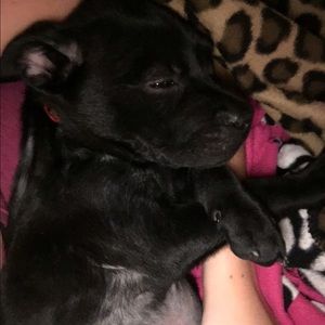 Meet your Posher, Xana