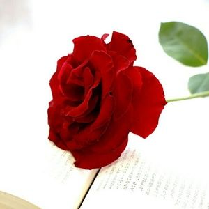 Meet your Posher, Janelle