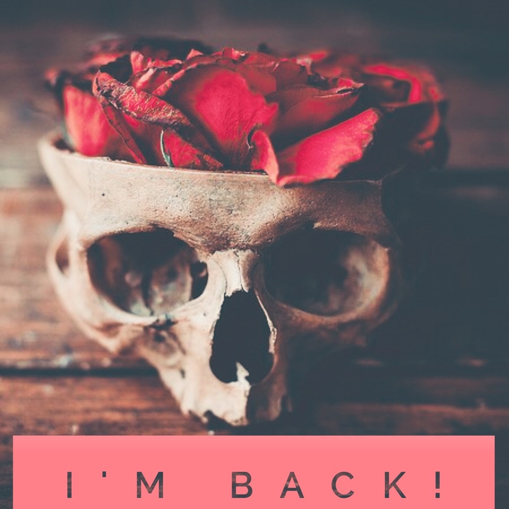 🖤•I have returned•🖤