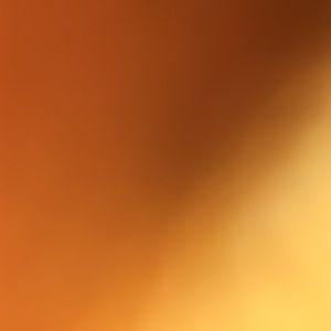 Meet your Posher, Jr