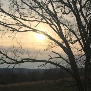 Meet your Posher, Lillian