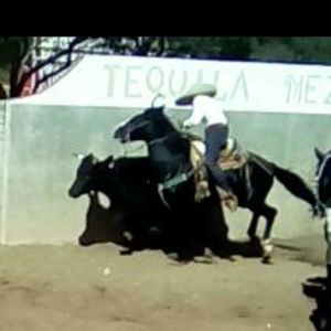 Meet your Posher, Sergio