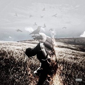 Meet your Posher, Phil