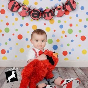 Meet your Posher, Rose