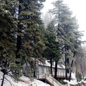 Meet your Posher, Sonia