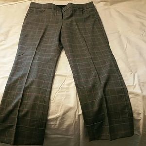 Express dress pants